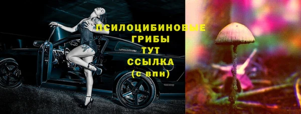 ПСИЛОЦИБИНОВЫЕ ГРИБЫ Алзамай