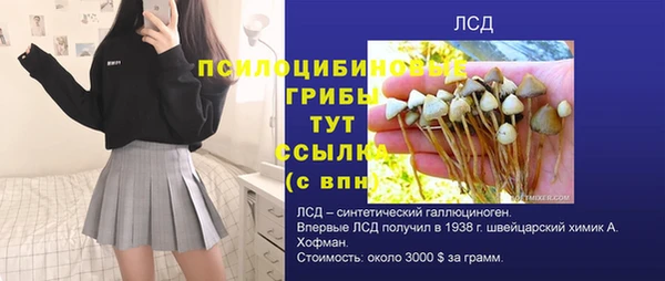 ПСИЛОЦИБИНОВЫЕ ГРИБЫ Алзамай