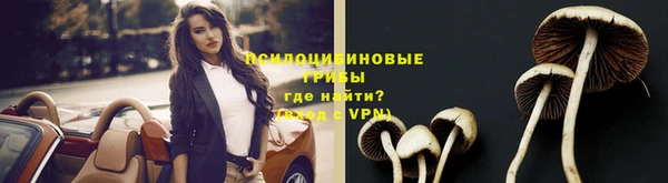 a pvp Алексеевка