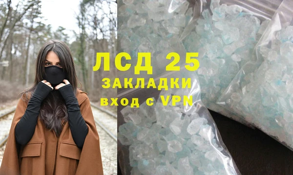 ПСИЛОЦИБИНОВЫЕ ГРИБЫ Алзамай