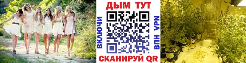 МАРИХУАНА конопля  Калач 